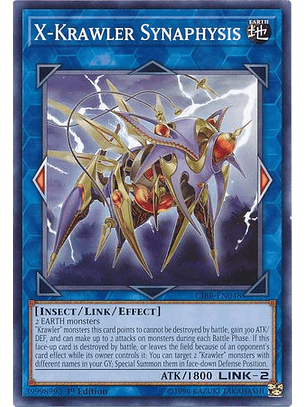 X-Krawler Synaphysis - CIBR-EN048 - Common