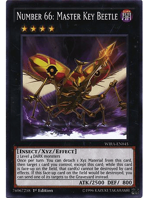 Number 66: Master Key Beetle - WIRA-EN045 - Common