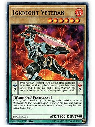 Igknight Veteran - DOCS-EN031 - Common 