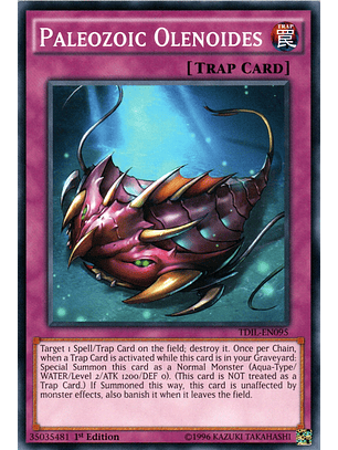 Paleozoic Olenoides - TDIL-EN095 - Common