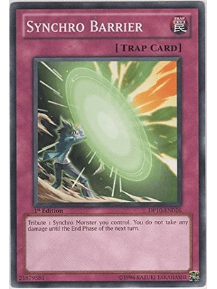 Synchro Barrier - DP10-EN026 - Common