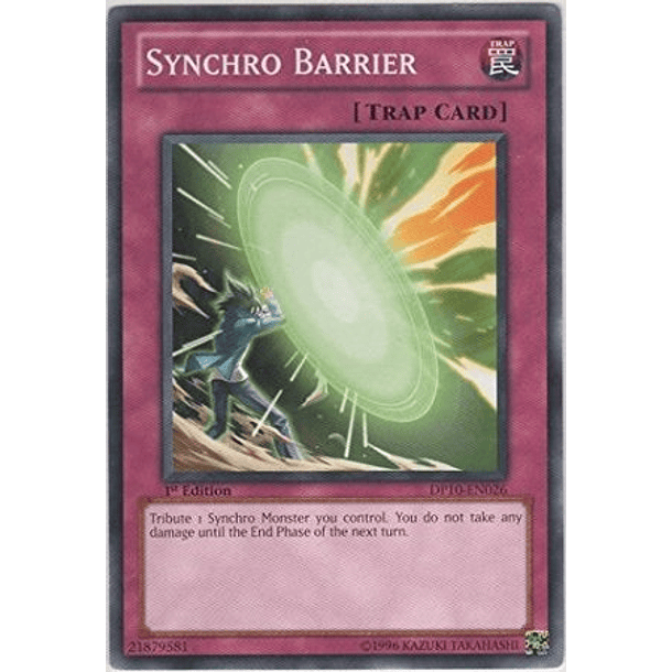 Synchro Barrier - DP10-EN026 - Common