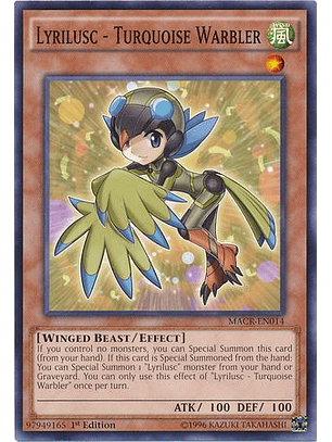 Lyrilusc - Turquoise Warbler - MACR-EN014 - Common