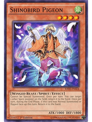 Shinobird Pigeon - RATE-EN024 - Common