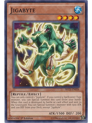 Jigabyte - SECE-EN034 - Common