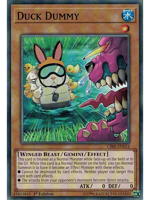 Duck Dummy - CIBR-EN033 - Common