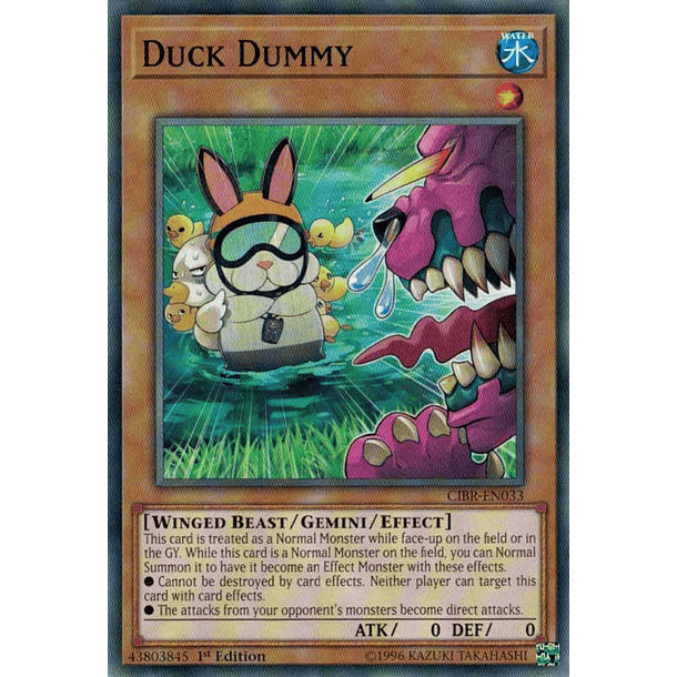 Duck Dummy - CIBR-EN033 - Common