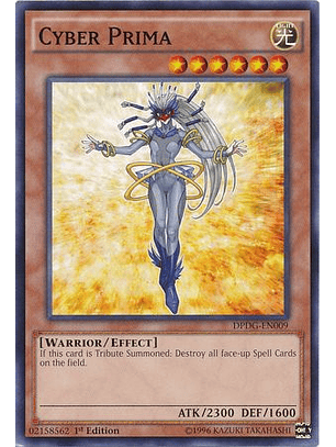 Cyber Prima - DPDG-EN009 - Common