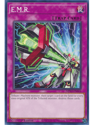 E.M.R. - MP22-EN043 - Common