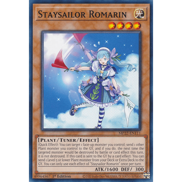 Staysailor Romarin - MP22-EN111 - Common