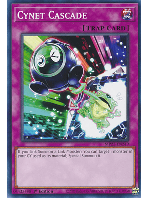 Cynet Cascade - MP22-EN249 - Common