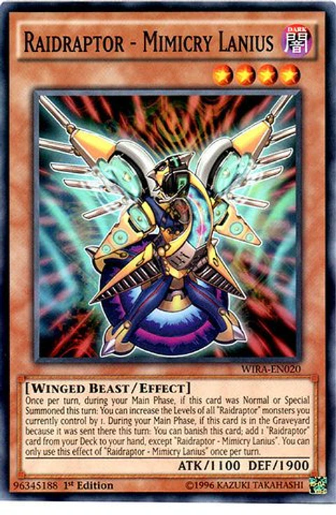 Raidraptor - Mimicry Lanius - WIRA-EN020 - Common