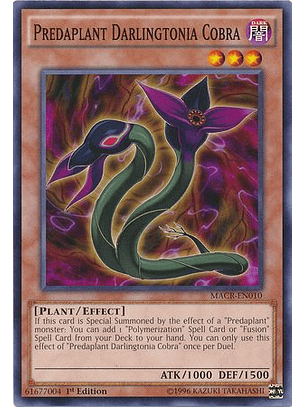 Predaplant Darlingtonia Cobra - MACR-EN010 - Common 