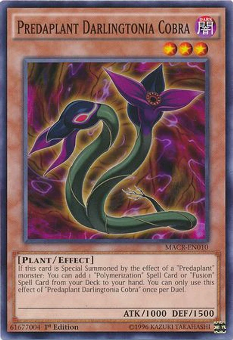 Predaplant Darlingtonia Cobra - MACR-EN010 - Common 