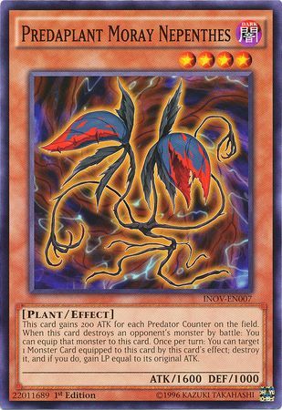 Predaplant Moray Nepenthes - INOV-EN007 - Common 1