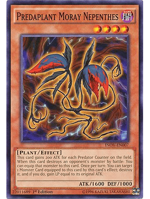 Predaplant Moray Nepenthes - INOV-EN007 - Common