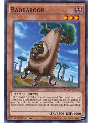 Baobaboon - MACR-EN034 - Common