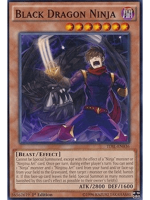 Black Dragon Ninja - TDIL-EN036 - Common