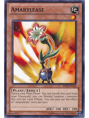 Amarylease - BP02-EN120 - Common