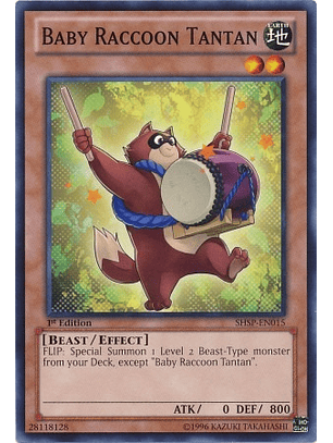 Baby Raccoon Tantan - SHSP-EN015 - Common