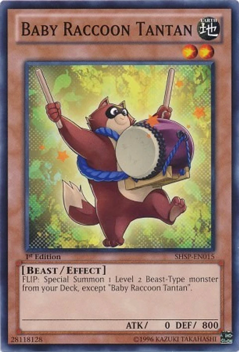 Baby Raccoon Tantan - SHSP-EN015 - Common