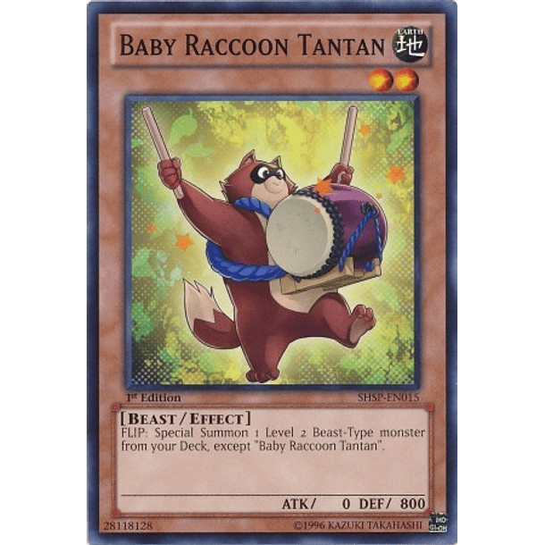 Baby Raccoon Tantan - SHSP-EN015 - Common