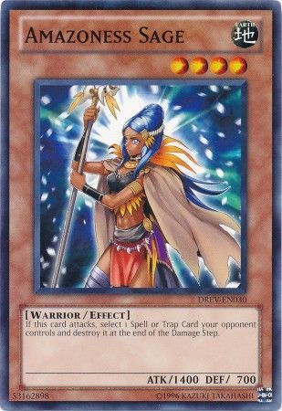 Amazoness Sage - DREV-EN030 - Common 1