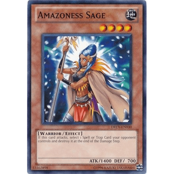 Amazoness Sage - DREV-EN030 - Common