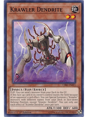 Krawler Dendrite - CIBR-EN021 - Common 