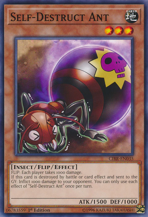 Self-Destruct Ant - CIBR-EN035 - Common