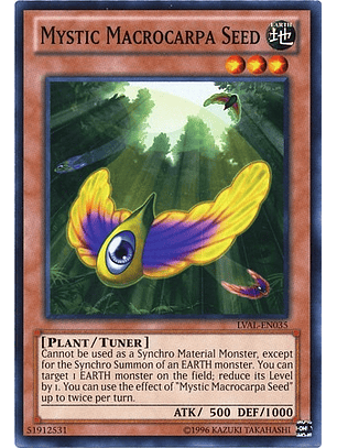 Mystic Macrocarpa Seed - LVAL-EN035 - Common