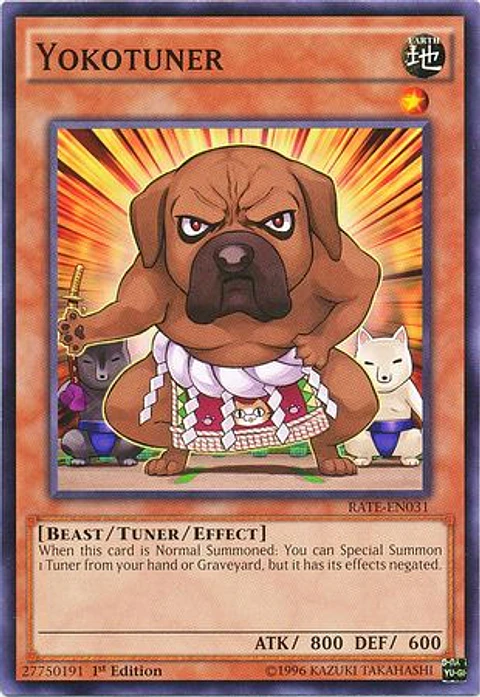 Yokotuner - RATE-EN031 - Common