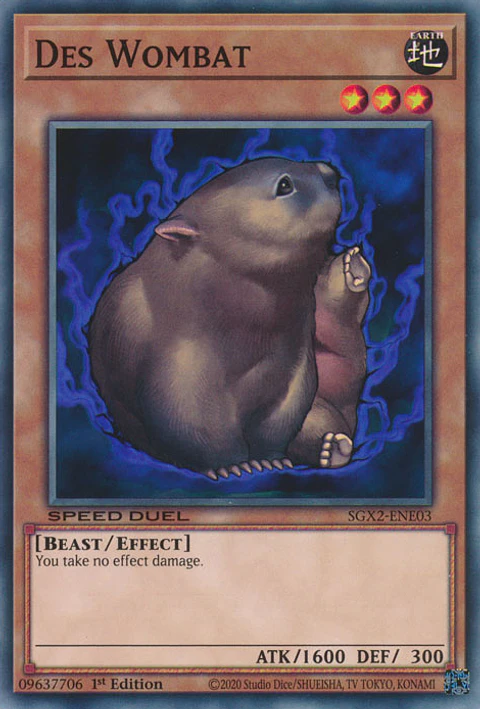 Des Wombat - SGX2-ENE03 - Common