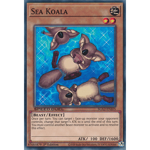 Sea Koala - SGX2-ENE05 - Common