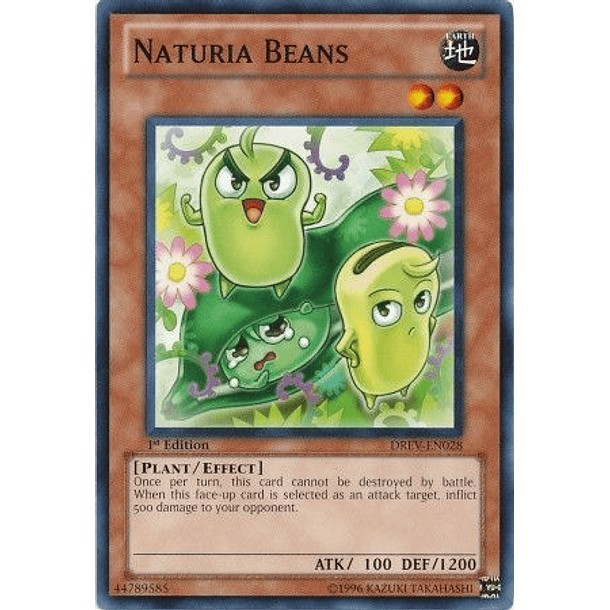 Naturia Beans - DREV-EN028 - Common