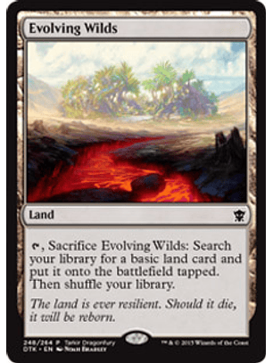 Evolving Wilds - DTK - C