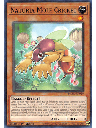 Naturia Mole Cricket - DABL-EN020 - Common