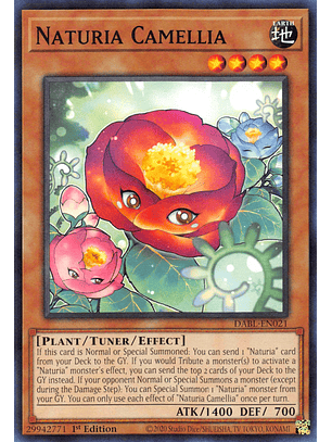 Naturia Camellia - DABL-EN021 - Common