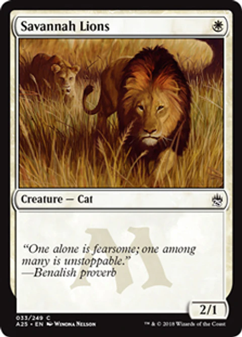 Savannah Lions - A25