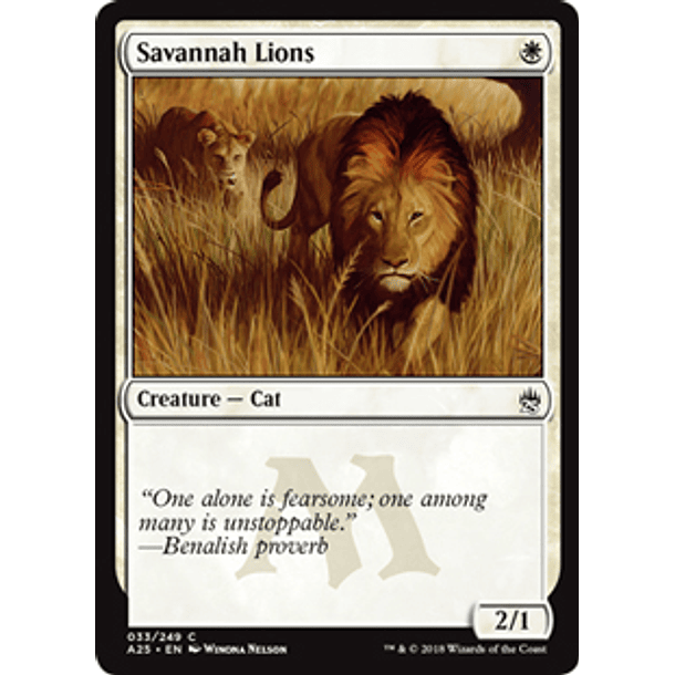 Savannah Lions - A25