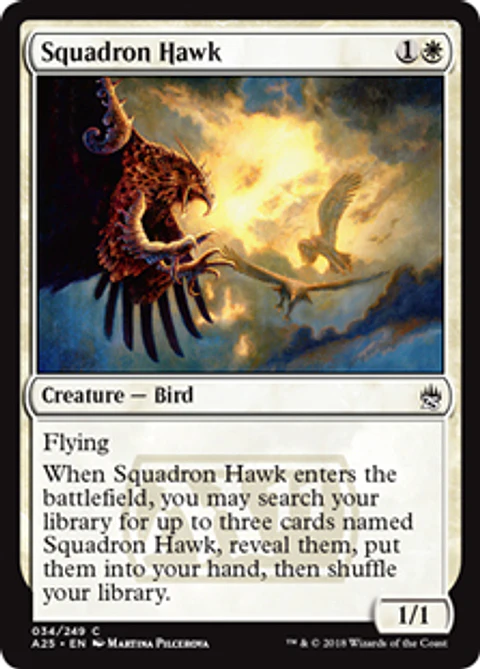 Squadron Hawk - A25