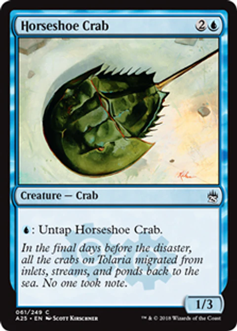 Horseshoe Crab - A25