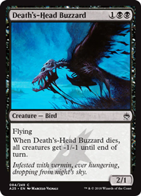 Death's-Head Buzzard - A25