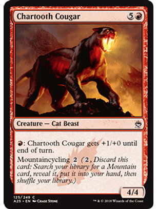 Chartooth Cougar - A25