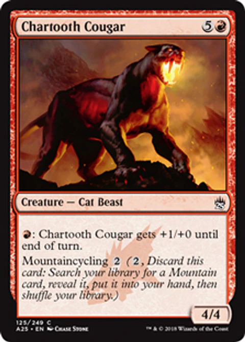 Chartooth Cougar - A25