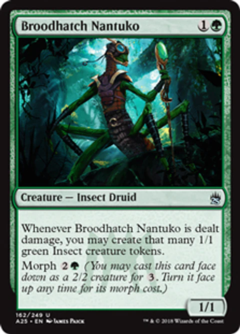 Broodhatch Nantuko - A25