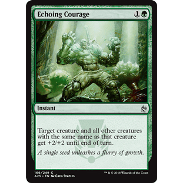 Echoing Courage - A25