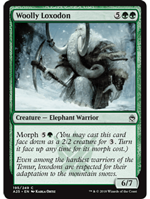 Woolly Loxodon - A25