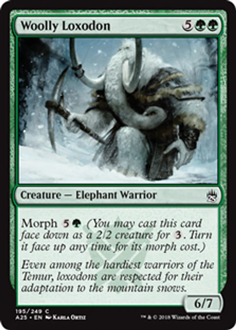 Woolly Loxodon - A25