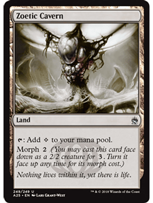 Zoetic Cavern - A25